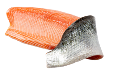 Fresh Salmon Fillet Isolated, Raw Norwegian Red Fish, Trout Meat Piece, Big Fresh Atlantic Salmon Fillet