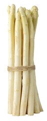 White Asparagus Isolated, Raw Garden Vegetables Bunch, Edible Sprouts of Asparagus Officinalis