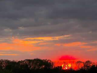 Sunset over the city with Mays spring return of Swift birds from warm lands.