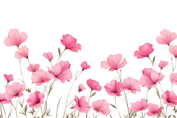 PNG  Botanical pink flower blossom petal plant