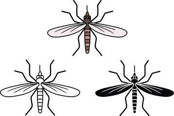 Mosquito Insect From Top View in 2D Clipart Set - Outline, Silhouette & Color