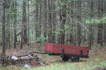 Old red trailer in the forest