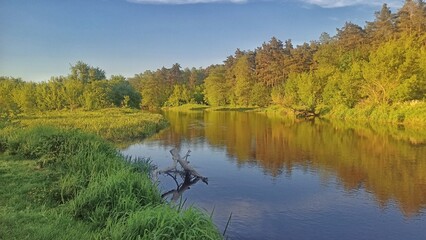 Landscape with river and trees © Dagmara Golebiowska