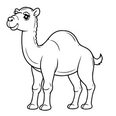 Cute vector illustration Camel for kids colouring page