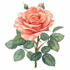 An elegant pink rose depicted in full bloom, surrounded by rich green leaves, with a soft, detailed rendering.