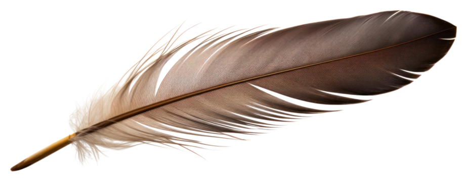 PNG  Lightweight fragility accessory softness