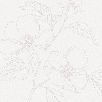 Delicate watercolor botanical digital paper floral