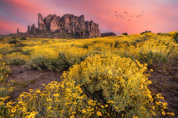 Superstition Mountain Spring