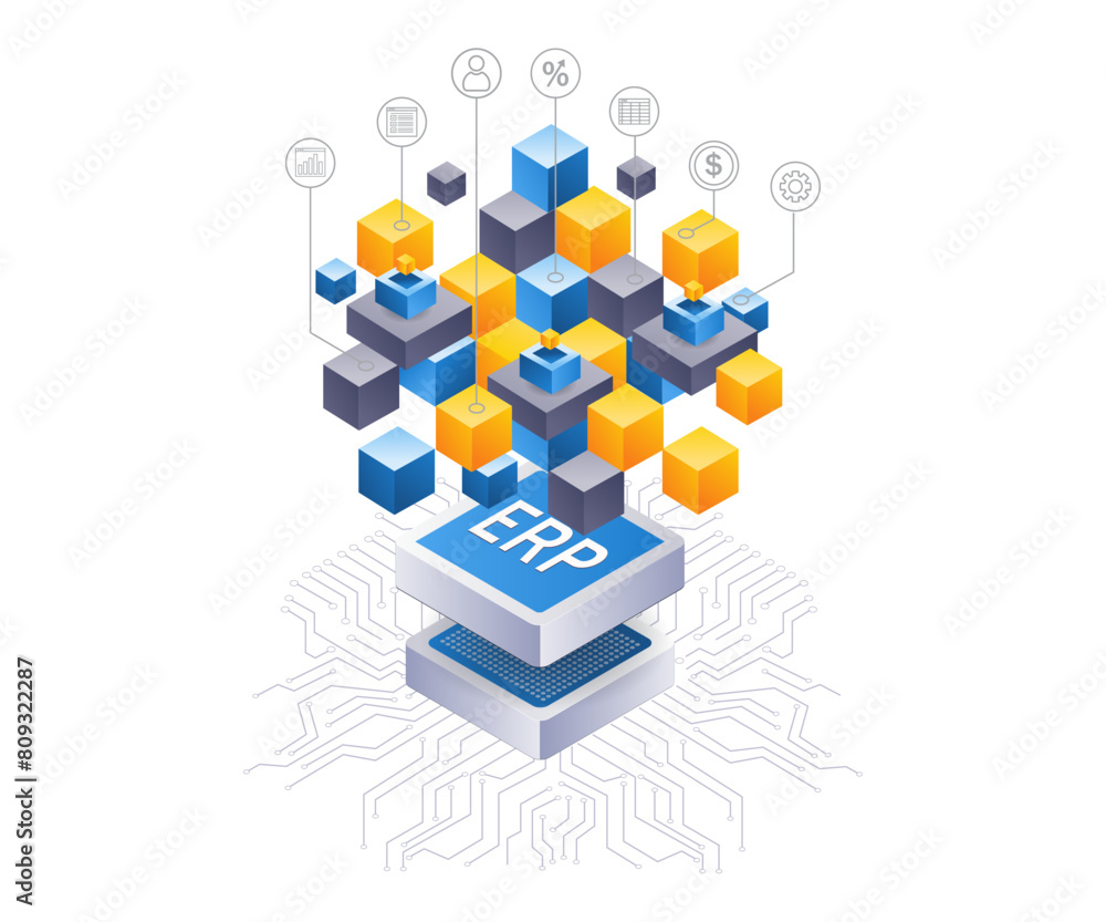 Poster erp network business developer infographic 3d illustration flat isometric