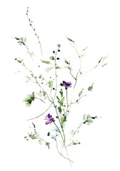 Watercolor painted meadow greenery bouquet on white background. Violet flowers, green wild plants, branches and leaves.