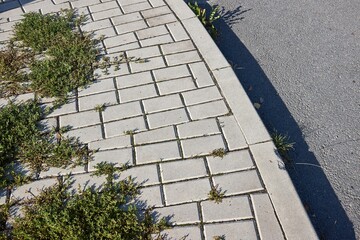 Curb at an intersection detail