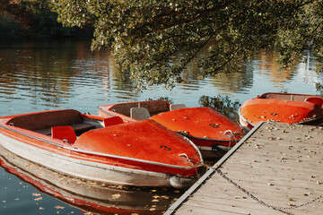 Several boats with oars are moored at the water's edge at the pier in the city park for water walks...