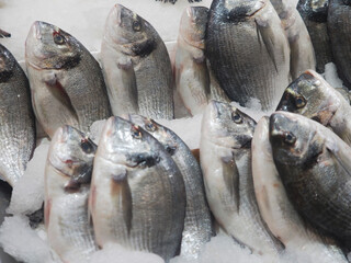 Fresh and Tasty Fish is in the Market