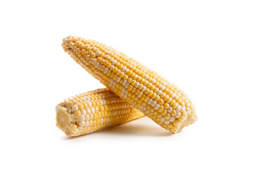 Two ears of sweet corn isolated on a white background..