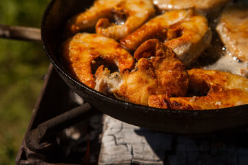 Pan frying or home cooking fish on the fire.