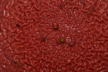 Red alien mass with veins texture