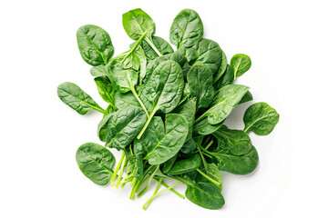 Fototapeta premium a bunch of spinach leaves on a white surface