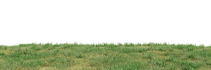 Green grass on transparent background 3d rendering