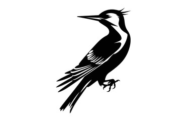 Flameback Woodpecker Bird Silhouette Vector art isolated on a white background, A Woodpecker  black Silhouette Clipart