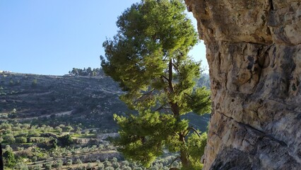 Wadi Al-Qaf Nature Reserve in the Hebron Mountains in the West Bank of Palestine.