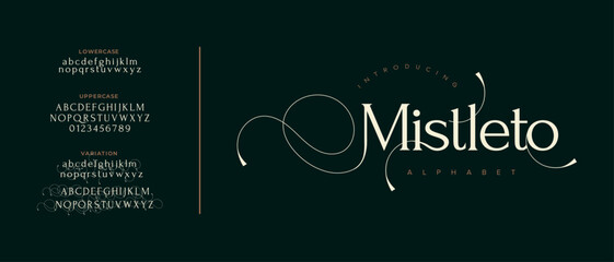 Misleto elegant font alphabet uppercase lowercase and number. Classic lettering minimal fashion designs. Typography modern serif fonts regular decorative vintage concept. Vector illustration