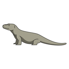 Komodo dragon illustration