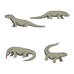 Komodo dragon illustrations
