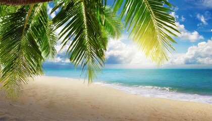 sunny tropical beach with palm leaves and paradise