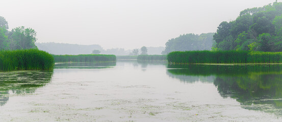 Misty lagoon. 