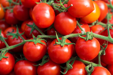 fresh ripe red cherry tomatoes background.