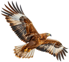 a large bird of prey flying in the air, transparent background png