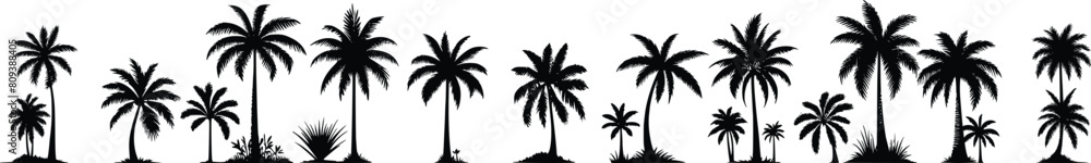 Wall mural tropical palm trees black silhouette collection. summer vacation concept. vector isolated on white - Wall murals