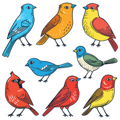 Colorful birds illustration featuring multiple avian species. Variety songbirds presented vibrant hues, cartoon style. Set birds, handdrawn look, isolated white background