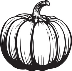 Pumpkin vector black and white