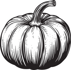 Pumpkin vector black and white