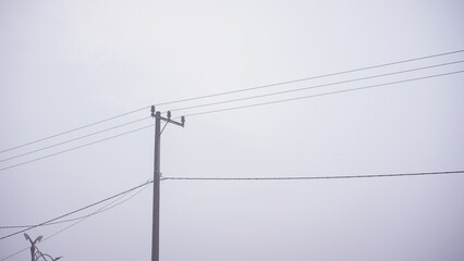 Electric pole when Foggy Atmosphere from Land Fires