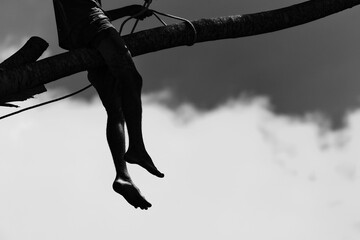 A man prunes a tree