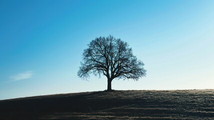 Tree-wide open style silhouette.