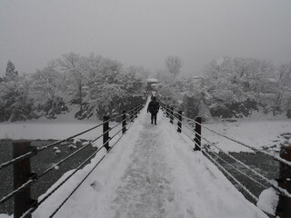 snow on bridge to Amanohashidate forest in winter