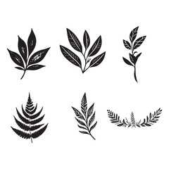 Tree leaves silhouette vector illustration.