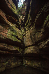Wollangambe River/Canyon Area, Blue Mountains National Park, New South Wales, Australia