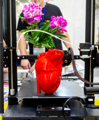 3D printer and model of human heart printed on 3D printer. Red prototype of human heart printed on 3D printer on a 3D printer desktop. New modern additive printing medical healthcare technologies