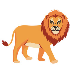 lion animal isolated