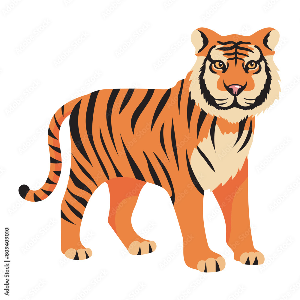 Wall mural tiger animal isolated