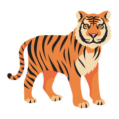 tiger animal isolated