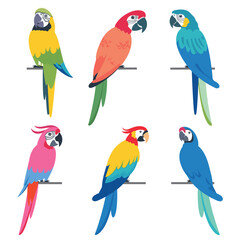Six colorful parrots perched, vibrant tropical birds, varied plumage colors. Cartoon macaws illustrated, exotic wildlife drawings, avian species diversity. Flat design parrots, colorful feathers