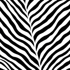 Realistic zebra print pattern background. Zebra skin texture