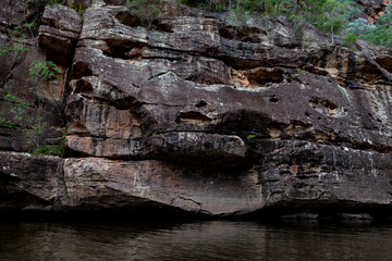 Wollangambe River/Canyon Area, Blue Mountains National Park, New South Wales, Australia