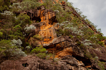 Wollangambe River/Canyon Area, Blue Mountains National Park, New South Wales, Australia