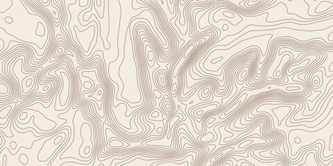Fototapeta premium Geographical map, contour map, vector design